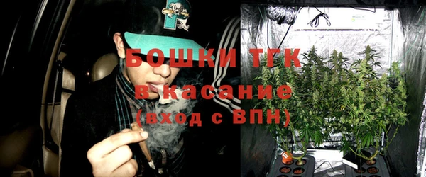 ешки Лагань