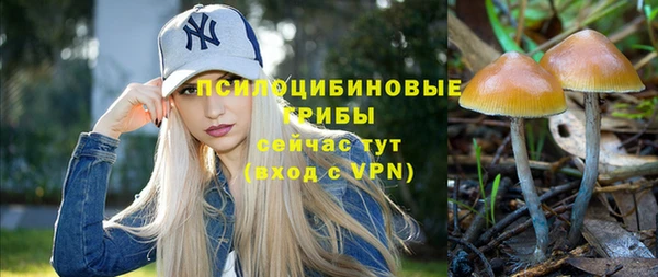 jwh Ладушкин