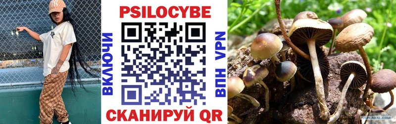 Галлюциногенные грибы Cubensis  Купить закладки  Бикин 
